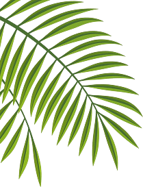 banner shape