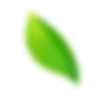 shape