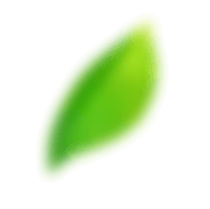 shape