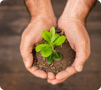 Licenciamento Ambiental